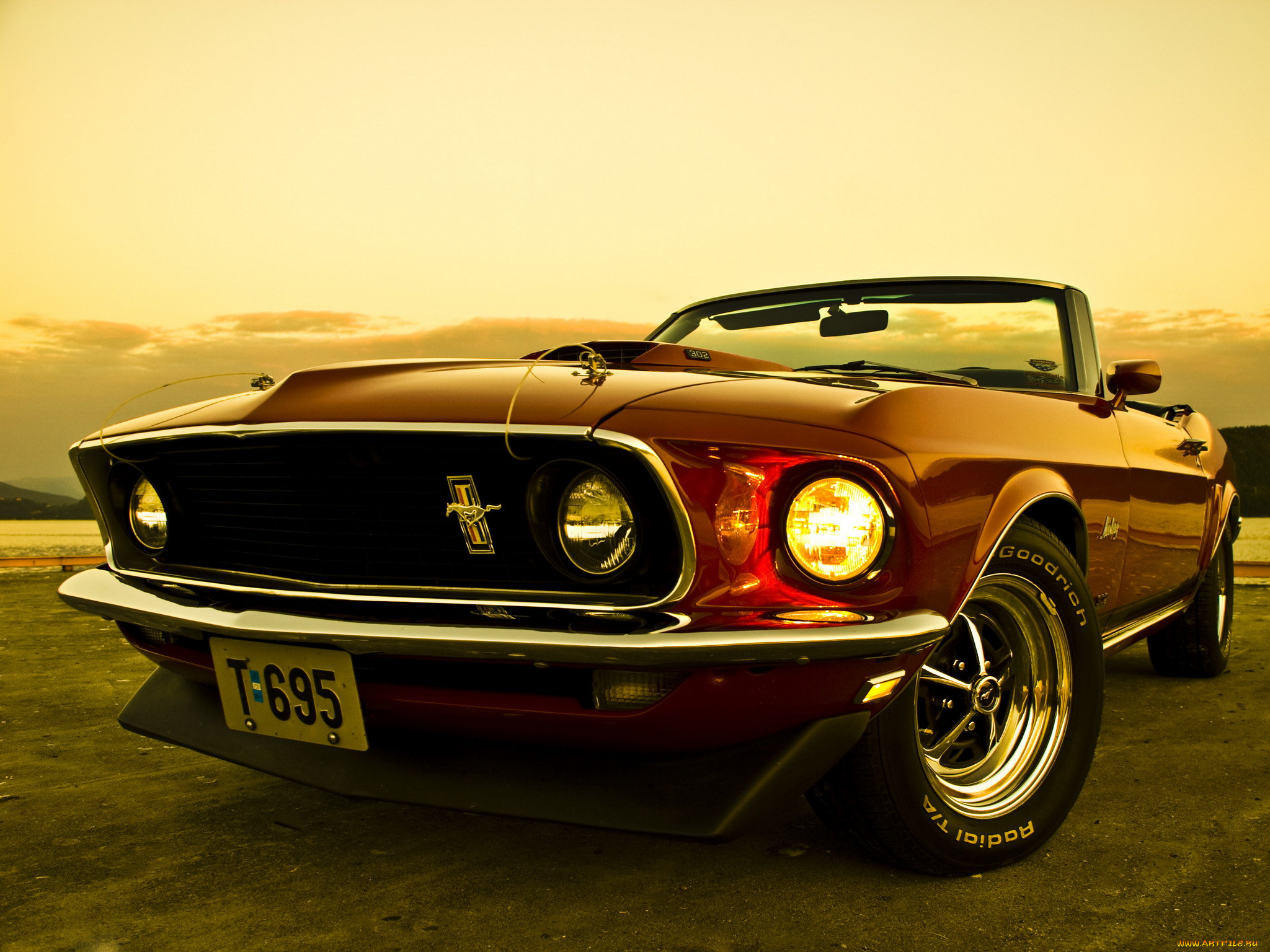, mustang